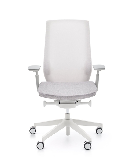 Krzesło obrotowe Accis Pro  szary wysyłka 24h, (1) - Ergonomiczne fotele i krzesła obrotowe  - Wysyłka 24H