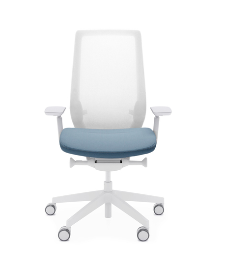 Krzesło obrotowe Accis Pro niebieskie wysyłka 24h, (1) - Ergonomiczne fotele i krzesła obrotowe  - Wysyłka 24H